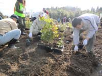 霧島市10万本植林プロジェクト