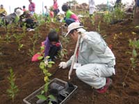 霧島市10万本植林プロジェクト