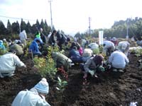 霧島市10万本植林プロジェクト