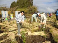 霧島市10万本植林プロジェクト