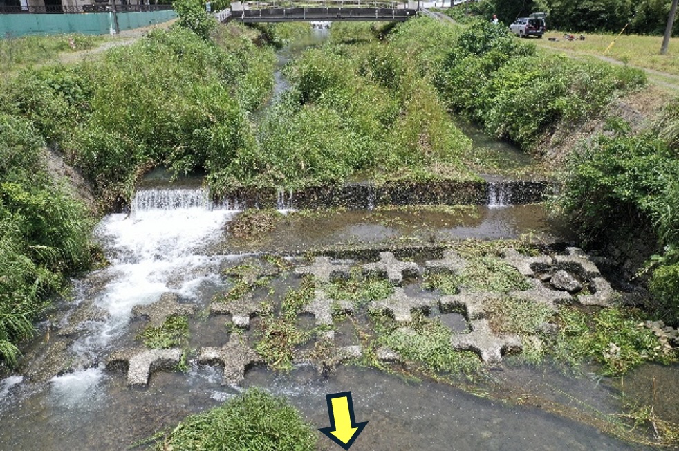 大里井堰